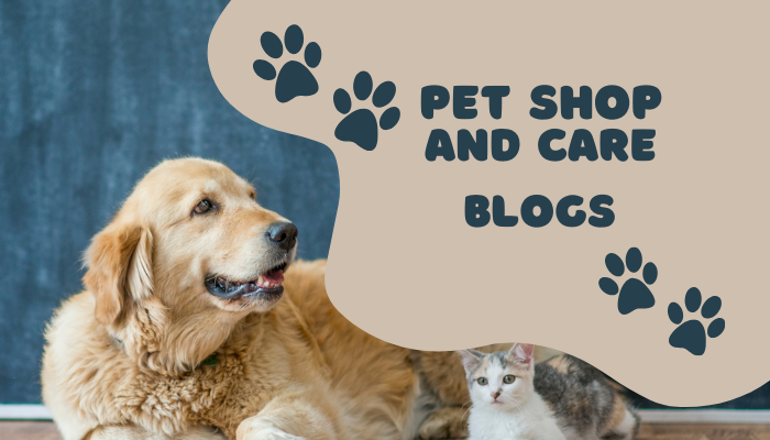 Grooming tips for pets at home 